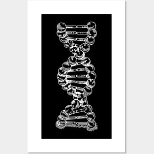 DNA Strand Helix Genetics Life Sciences Biology White Posters and Art